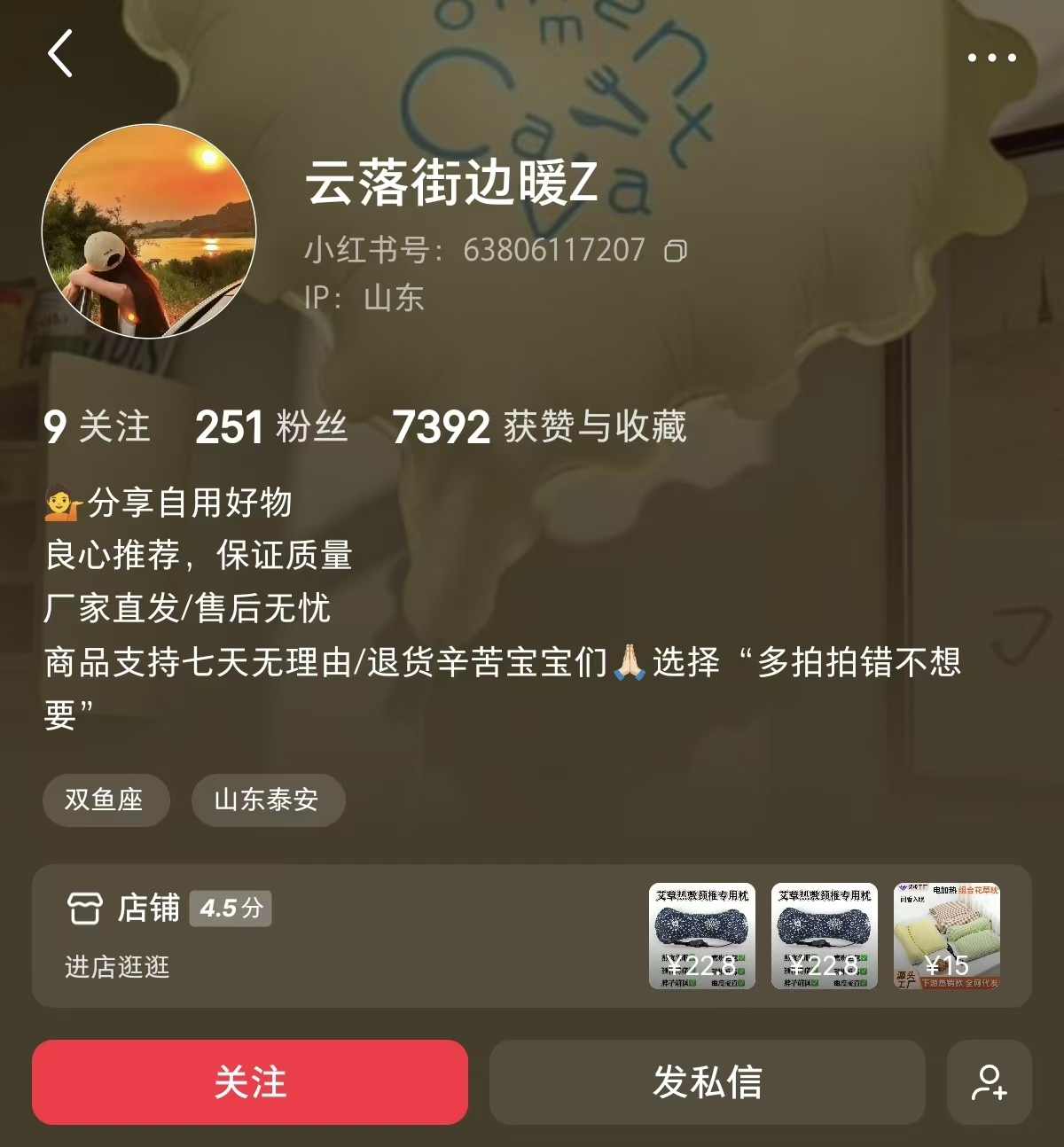 艾草枕爆单，二百粉丝一个月赚1.1w 主页截图