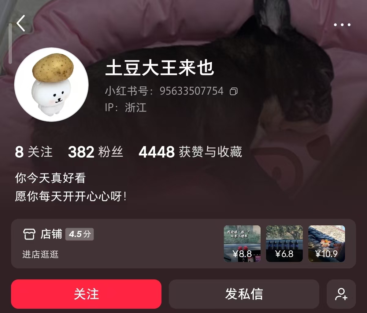 小马摆件爆单，三百粉丝一个月赚2.4w 主页截图