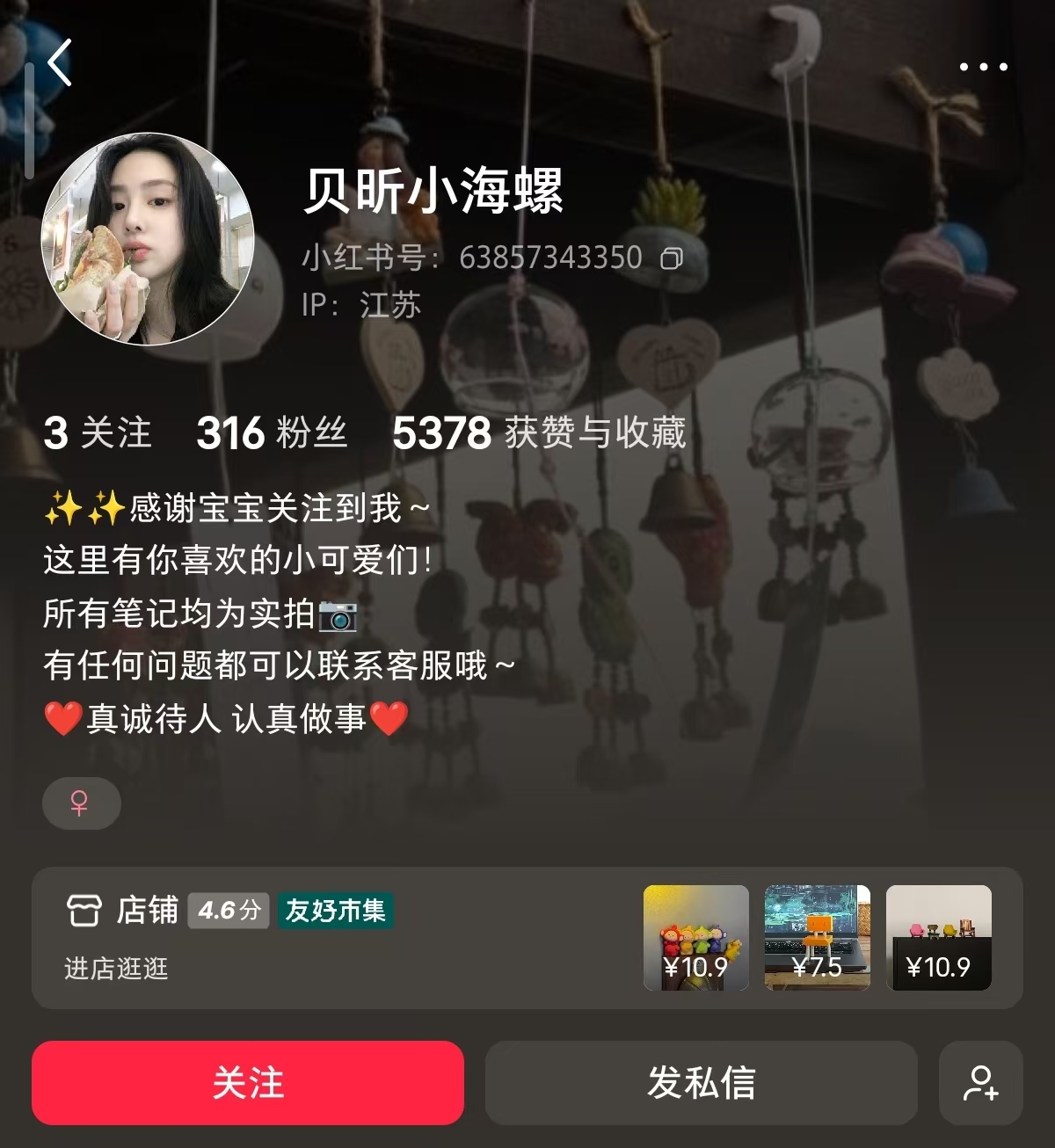 摆件爆单，三百粉丝一个月赚3.3w 主页截图